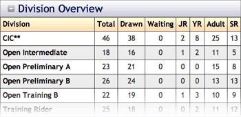 Overview of Division Information